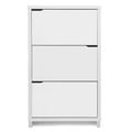 Simms 52.7 In. H X 31.1 In. W Shoe Storage Cabinet